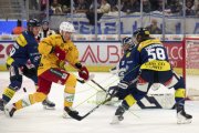 AMBRI - TIGERS