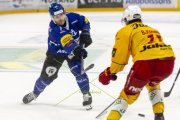 FRIBOURG - TIGERS