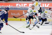 ZSC - AMBRI