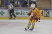 DAVOS - TIGERS