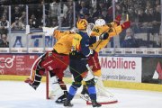 AMBRI - TIGERS