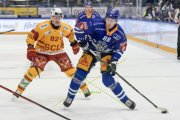 ZUG - TIGERS