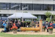 BASELSTAEDTISCHER SCHWINGERTAG