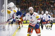 TIGERS - KLOTEN