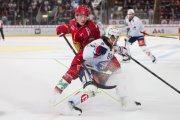 TIGERS - ZSC