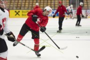 TRAINING SCHWEIZ