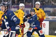 AMBRI - TIGERS
