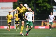 YB - KRIENS