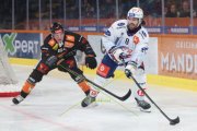 BERN - ZSC
