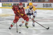 TIGERS - ZSC