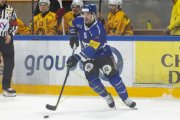 FRIBOURG - TIGERS