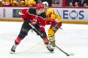 LAUSANNE - TIGERS