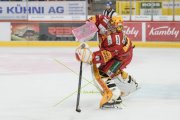 TIGERS - DAVOS