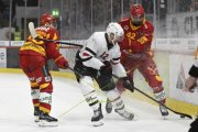 TIGERS - LAUSANNE