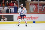 TIGERS - ZSC