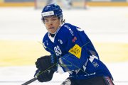 FRIBOURG - TIGERS