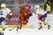 TIGERS - KLOTEN