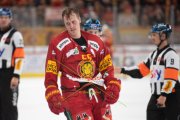 TIGERS - AMBRI