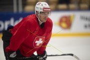 TRAINING SCHWEIZ