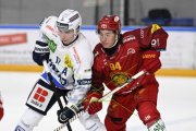 AMBRI - TIGERS
