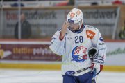 TIGERS - ZSC