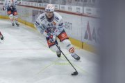 TIGERS - ZSC