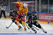 FRIBOURG - TIGERS