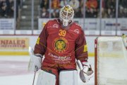 TIGERS - ZSC