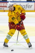 FRIBOURG - TIGERS