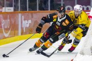 SCB - AJOIE