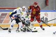 AMBRI - TIGERS
