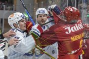 TIGERS - ZSC