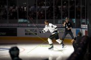 FIALA ALLSTARS - ZSC