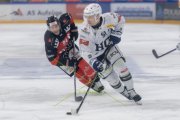 BASEL - HCC