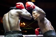 BOXEN STATT THEATER 2025