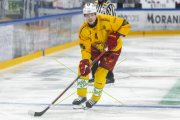 FRIBOURG - TIGERS