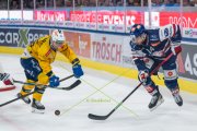 ZSC - DAVOS