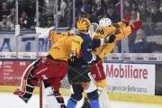 AMBRI - TIGERS