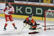 BERN - MOUNTFIELD