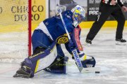 DAVOS - ZSC