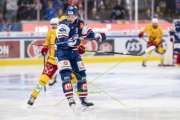 ZSC - TIGERS