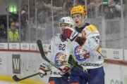 TIGERS - ZSC