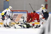 AMBRI - TIGERS