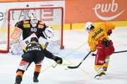 BERN - TIGERS