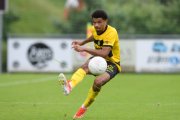YB - XAMAX