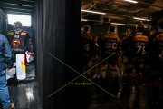 BERN - TIGERS