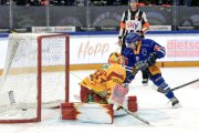 ZUG - TIGERS