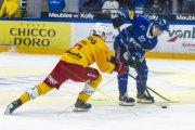 FRIBOURG - TIGERS