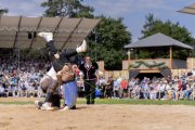 AARGAUER KANTONALSCHWINGFEST