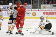 TIGERS - LUGANO